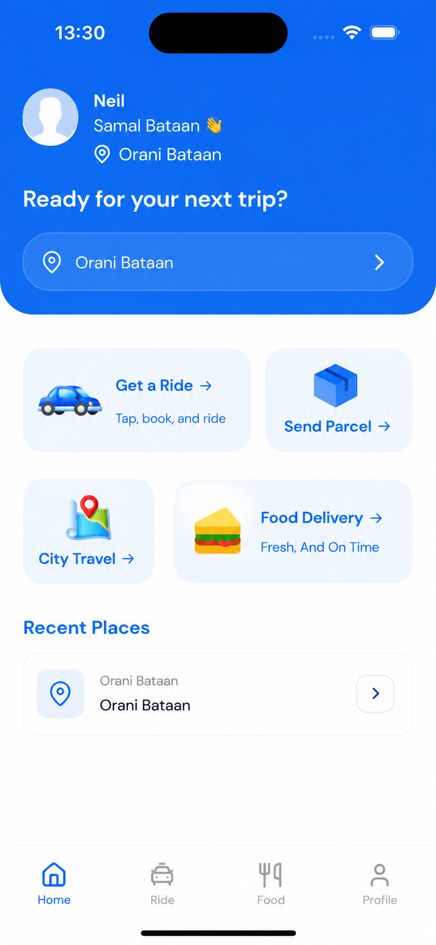 Trayki app preview